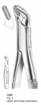  Fig. 4 upper and lower premolars 